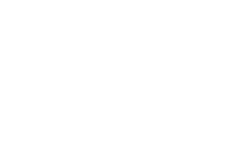 FES logo
